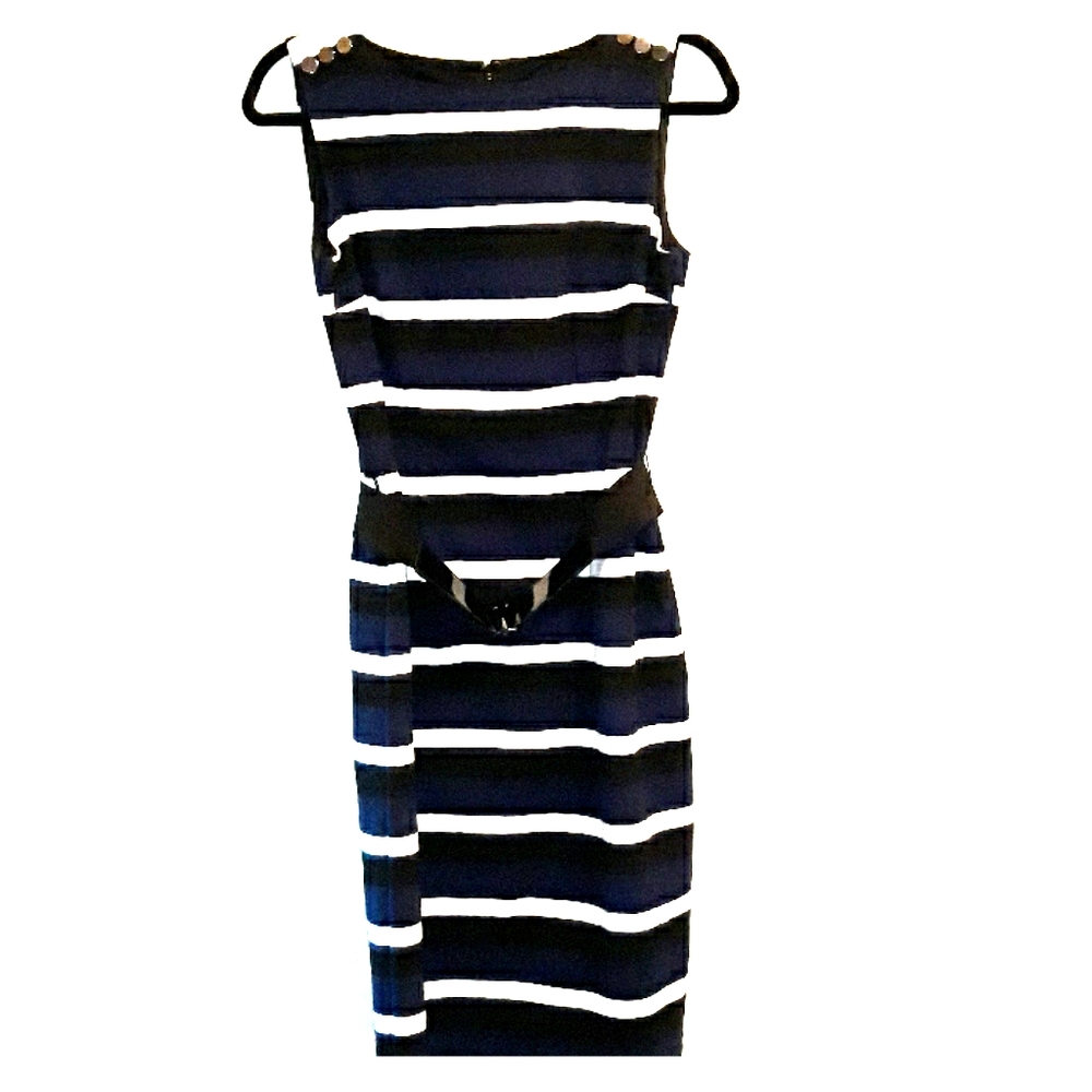 WHBM White House Black Market Striped Dress